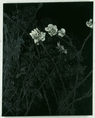 Midnight In The Garden