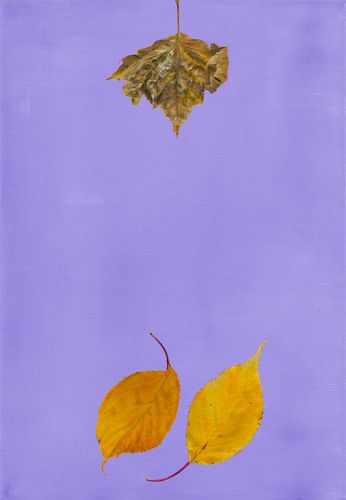 The Age Of Indifference